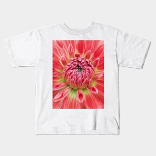 closeup macro photography of bright glowing red dahlia bloom with closed petals over a green coloured center Kids T-Shirt